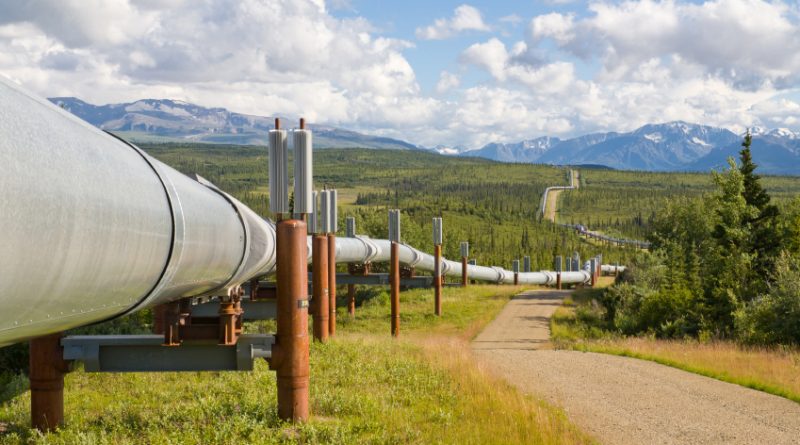 The trans-Alaska pipeline. (iStock)