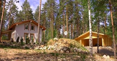 Russian-owned summer cottages in southeastern Finland. (Yle)