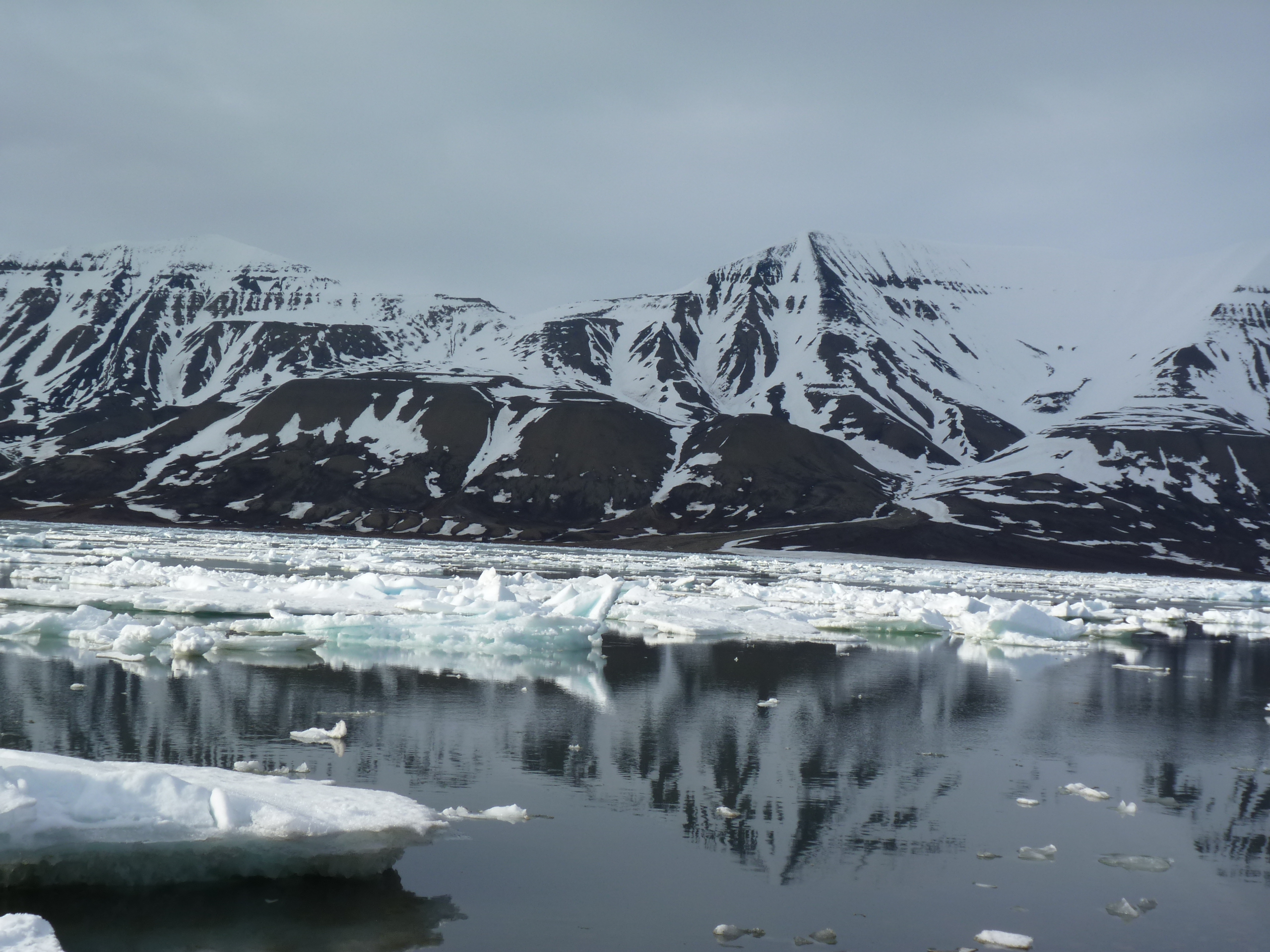 Svalbard ice. (Irene Quaile)