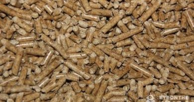 Could biomass options like these wood pellets be the answer to the North's energy woes? One of your most read Eye on the Arctic stories explored this issue this week. (Eilís Quinn/Eye on the Arctic)