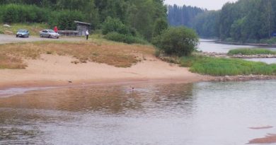 Swimming off the shore of the Kokemäki river may not be safe, depending on who you ask. ( Matti Kauvo / Yle )