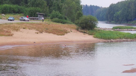 Swimming off the shore of the Kokemäki river may not be safe, depending on who you ask. ( Matti Kauvo / Yle )