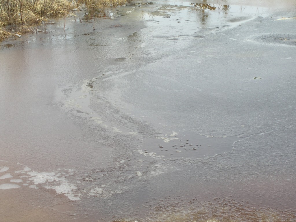 You can see the methane bubbles rising. (Pic I. Quaile)