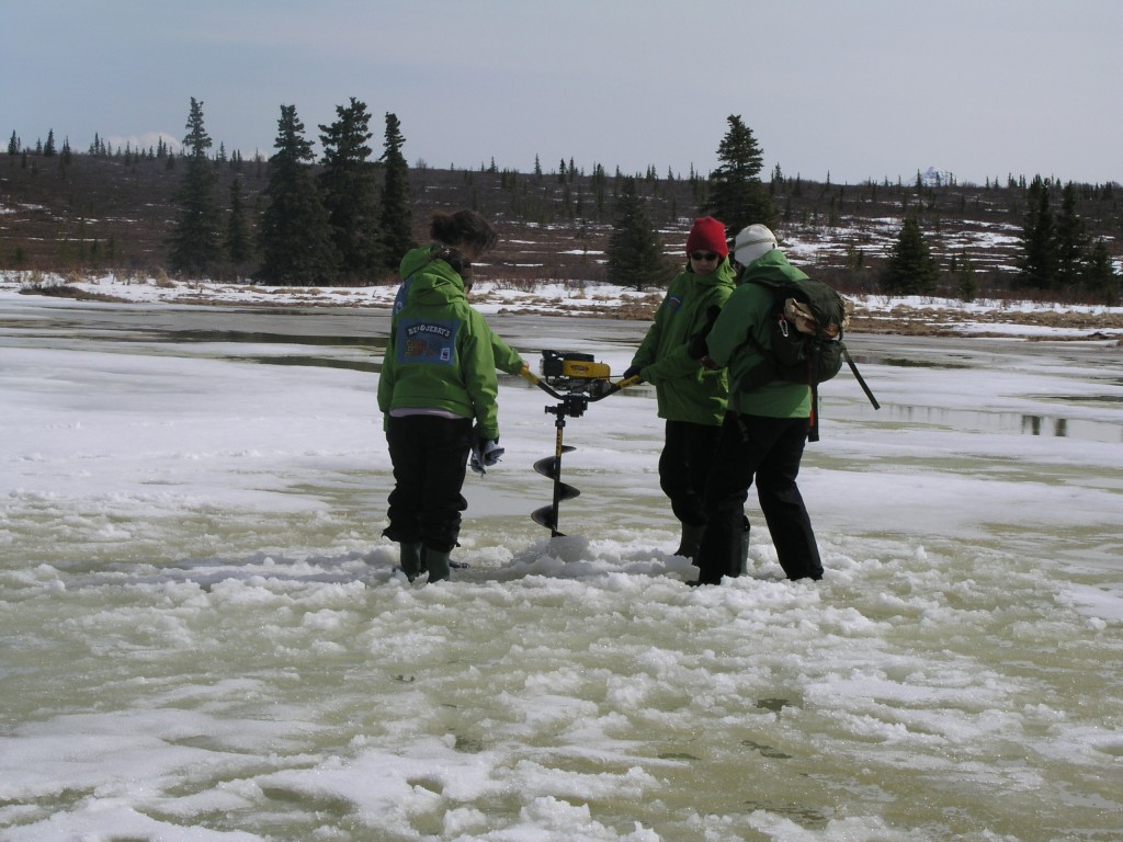 Investigating the huge amount of methane captured under Arctic permafrost. ( I. Quaile)