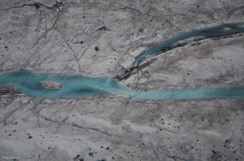 A supraglacial river in Greenland with cryoconites (the black holes) on both sides. (Mia Bennett / August 2014)