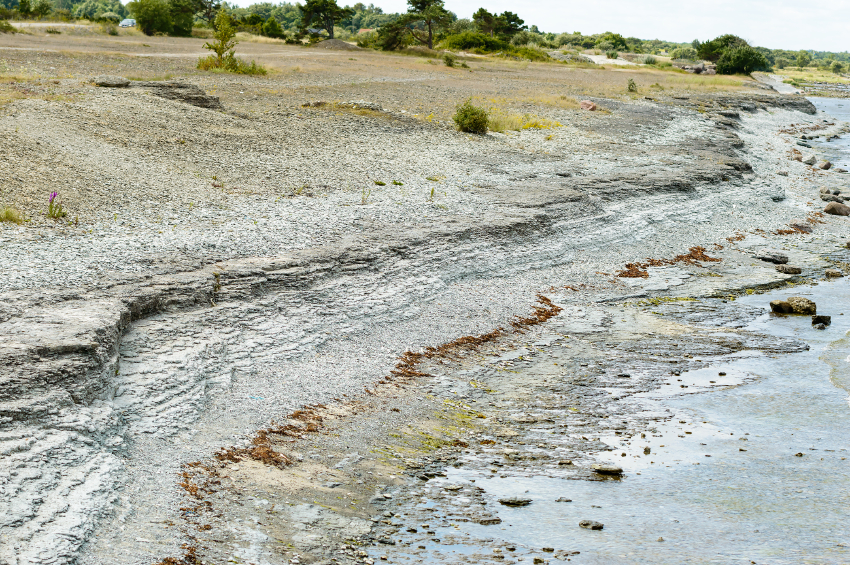 23,000 homes in Sweden's southern Skåne, region are threatened by rising sea levels. (iStock)