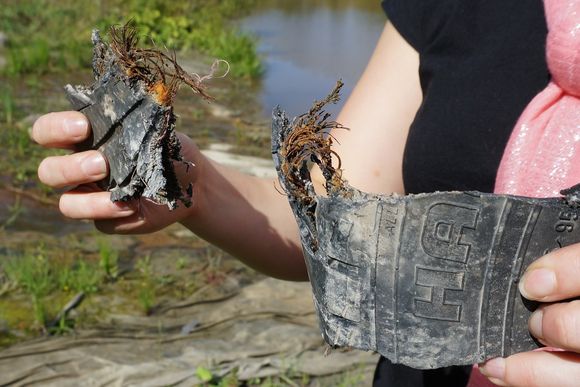 Old tyres are being used as a substrate for microbe growth.(Pertti Huotari / Yle)