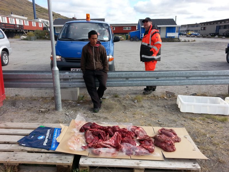 Caribou meat for sale outside Pilersuisoq. (Mia Bennett/August 2014)