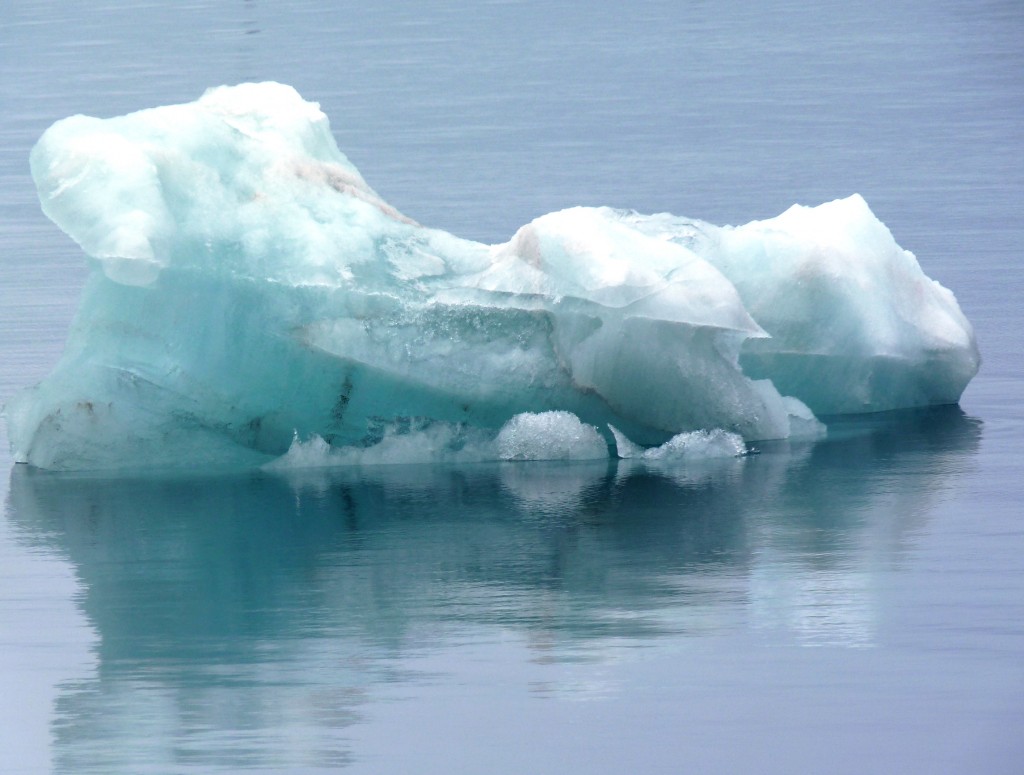 Arctic ice on the endangered list. (I.Quaile)