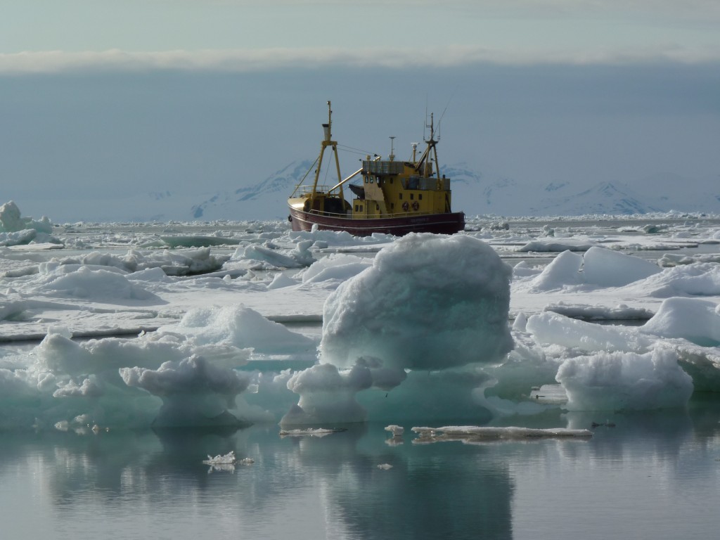 Shipping in icy waters is becoming more common (I. Quaile)