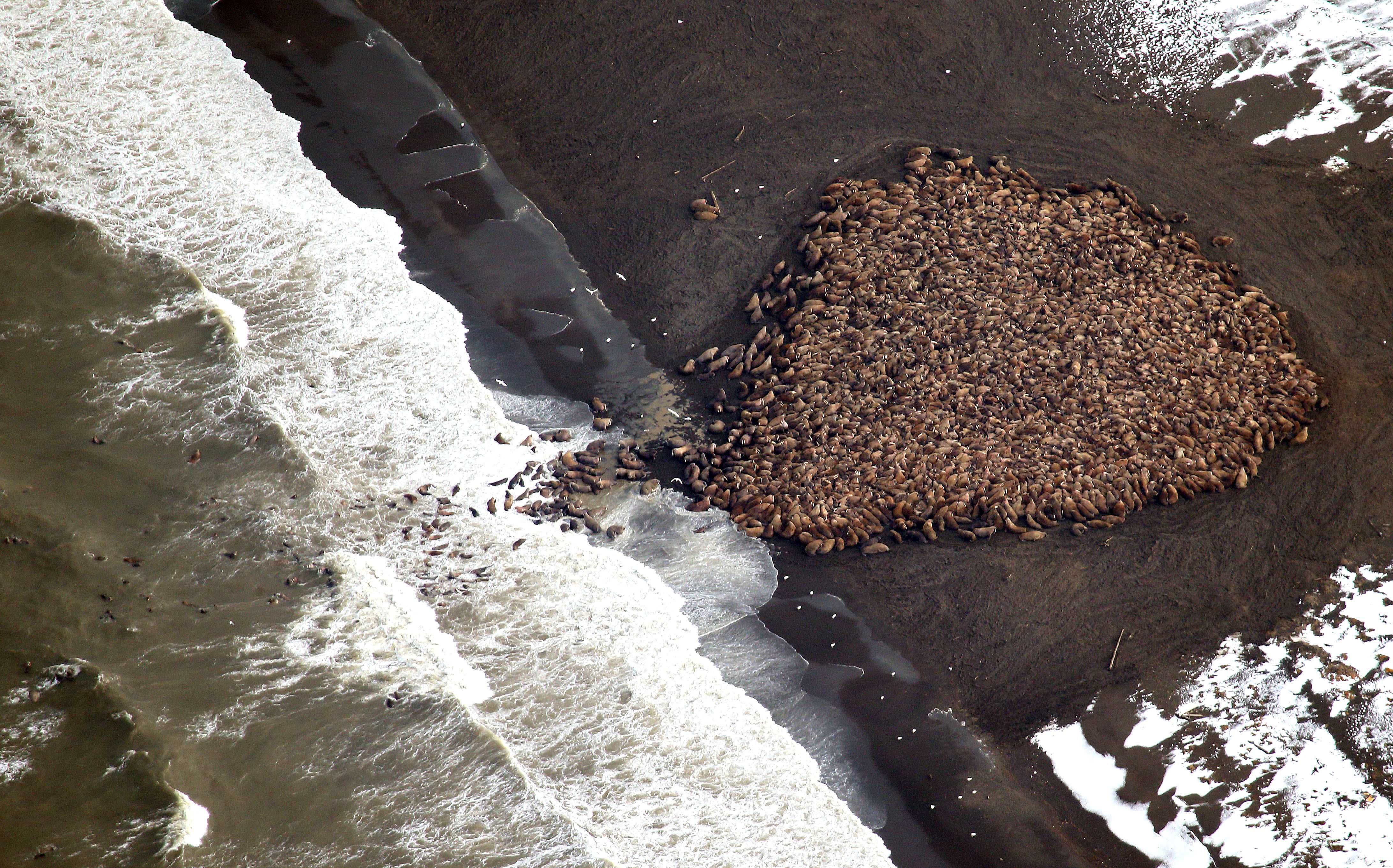 What Eye on the Arctic stories got your attention this week? (The Associated Press)