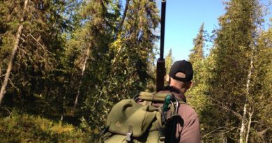 A hunter in the Swedish woods. ( Ida Brännström / Sveriges Radio)