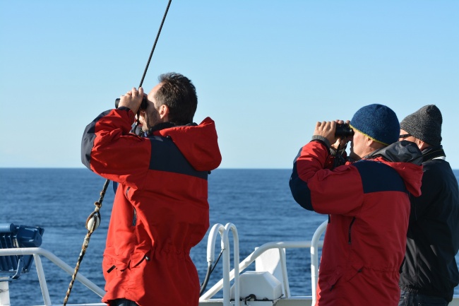 Head of Norwegian Polar institute Jan-Gunnar Winther (left) and head of Polar Institute's centre for Ice Harald Steen (right) looking for ice in the Kara Strait in 2013. (Thomas Nilsen / Barents Observer)