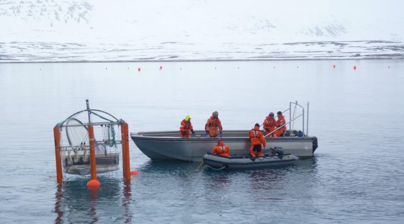 Scientists set up a “mesocosm” to measure ocean acidification Spitzbergen 2010. (Irene Quaile)