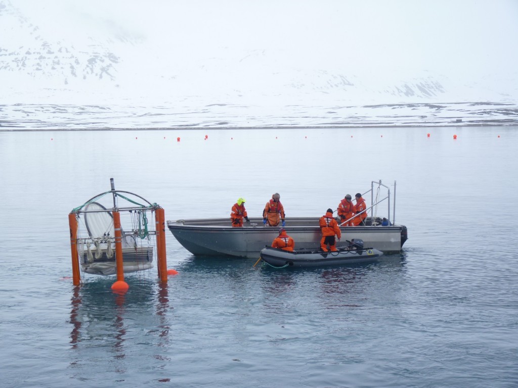 Scientists set up a “mesocosm” to measure ocean acidification Spitzbergen 2010. (Irene Quaile)