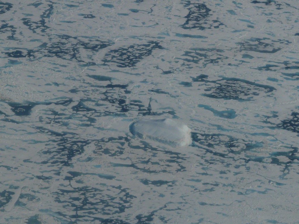 Icy polar water absorbs CO2 faster. (Irene Quaile)
