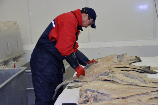 Export of clipfish increased 47 percent in October and is one of the reasons for the monthly alltime high. (Trude Pettersen/Barents Observer)