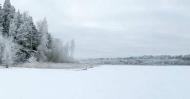 Finland is considering restrictions on things like lakeside cottage construction in an effort to protect the endangered saimaa seal. (iStock)