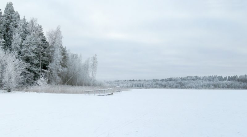 Finland is considering restrictions on things like lakeside cottage construction in an effort to protect the endangered saimaa seal. (iStock)