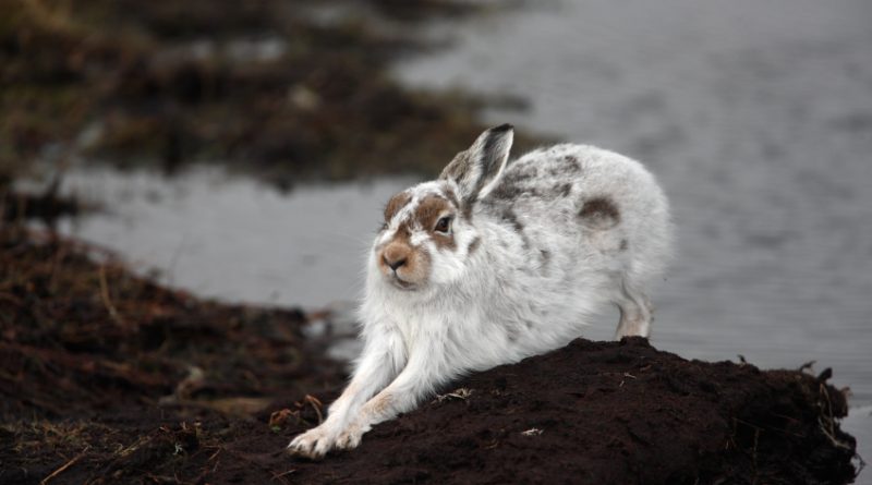 Before the long Easter weekend, we take a look back at some of your most read northern stories this week. (iStock)