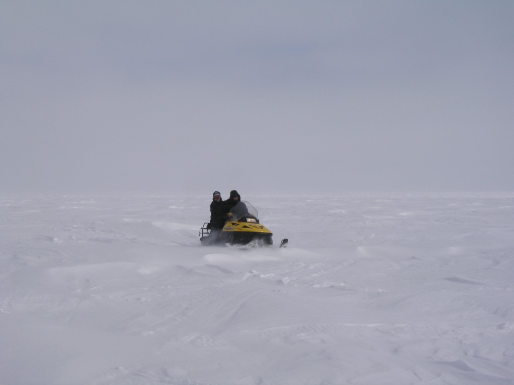 Ice free Arctic Barrow by 2020? (Irene Quaile)