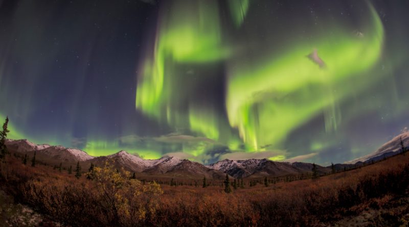 Northern lights over Alaska. (iStock)