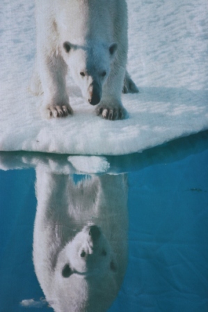 Arctic icon on display at Greenpeace Arctic event in Bonn. (I.Quaile)
