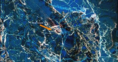 Landsat 8 image taken on June 16, 2013 of new island discovered near Russia. (NASA)