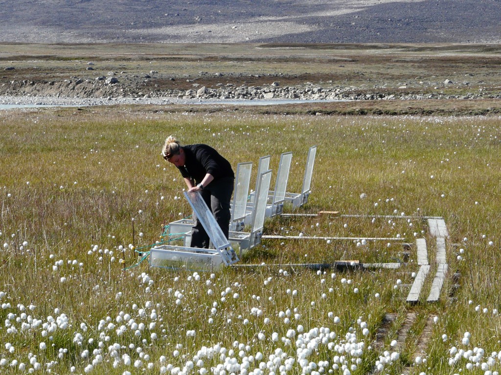 Scientists at measuring stations like the one I viisted at Zackenberg, Greenland, measure the amount of greenhouse gases emitted by melting permafrost. (Irene Quaile)