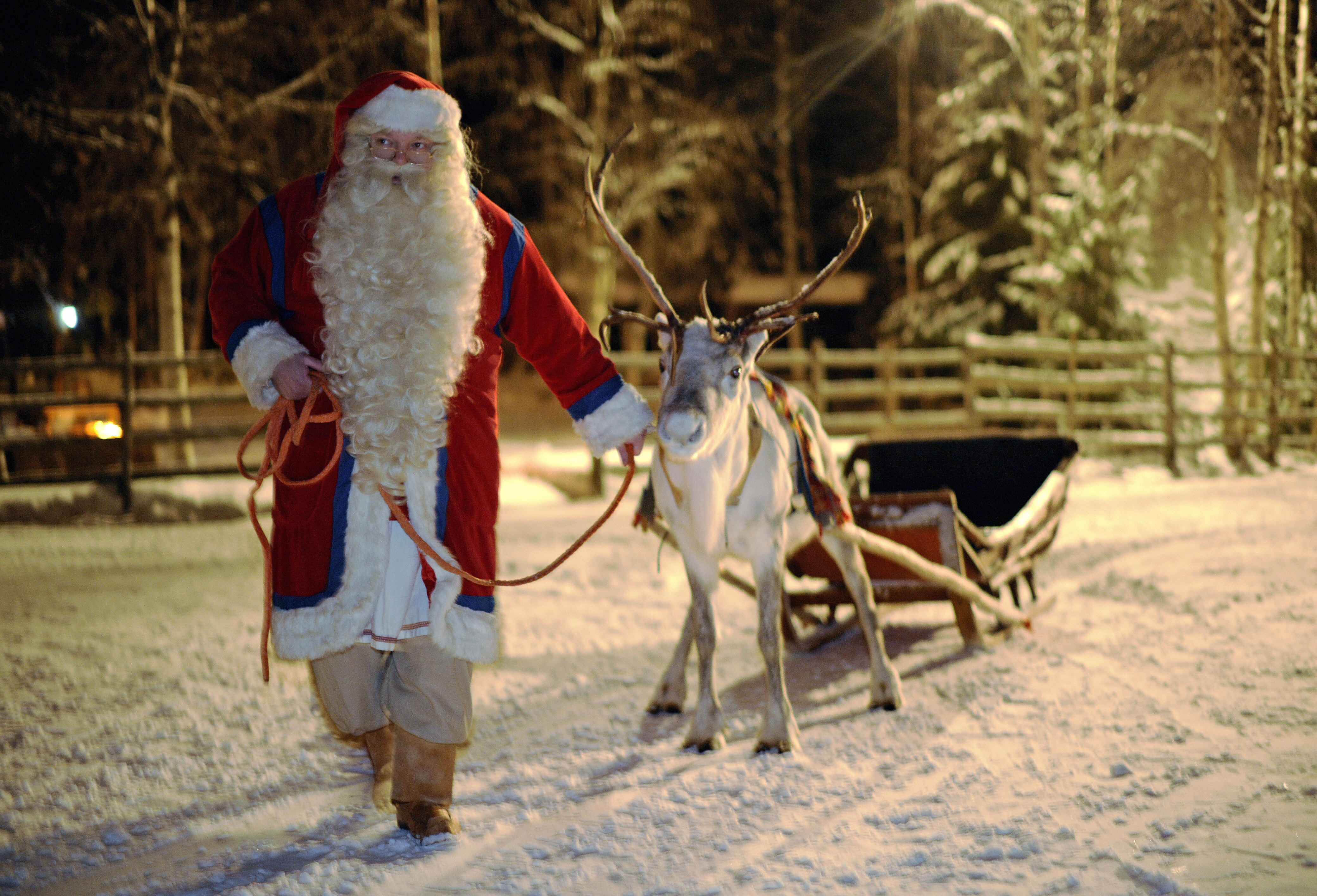 Santa Claus walks with his Reindeer and sled in Rovaniemi, Finland on December 16, 2008. (Olivier Morin/AFP/Getty Images)