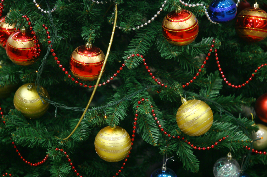Should people be encouraged to buy real Christmas trees instead of plastic ones? (iStock)