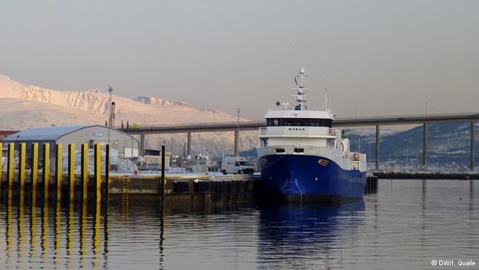 Tromso harbour 2014. (Irene Quaile)