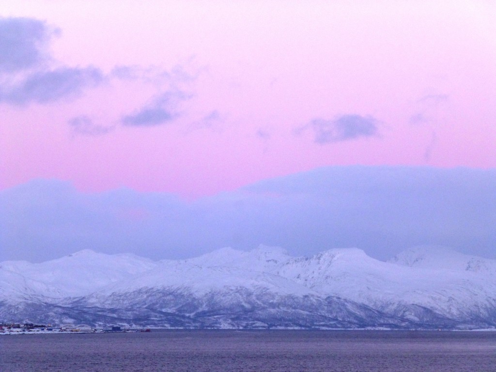 The Tromso debate continues: do we need Arctic oil? (Irene Quaile)
