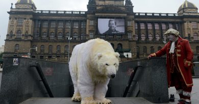 Greenpeace activist dressed like a polar bear in Prague, Czech Republic on October 13, 2014. (Michal Cizek/AFP/Getty Images)