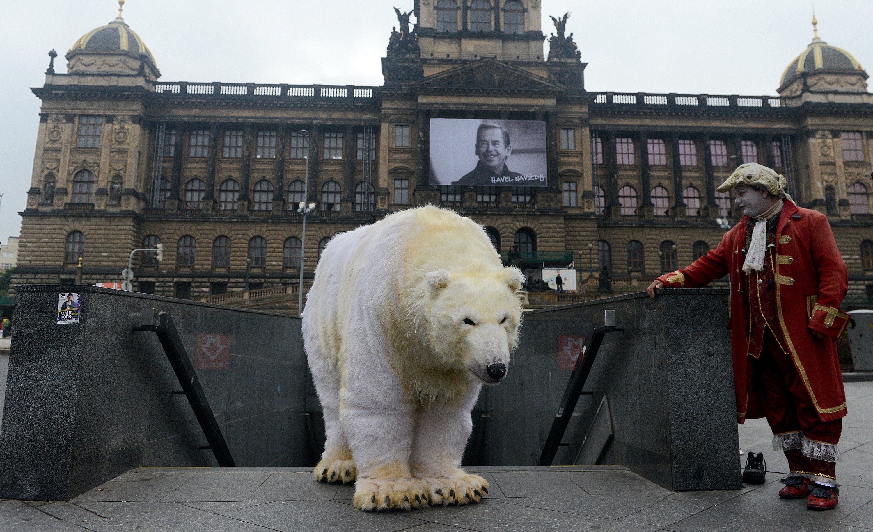 Greenpeace activist dressed like a polar bear in Prague, Czech Republic on October 13, 2014. (Michal Cizek/AFP/Getty Images)