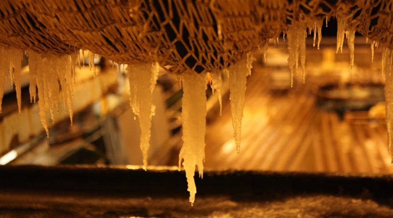 Icicles on the HH’s nets. (Irene Quaile)