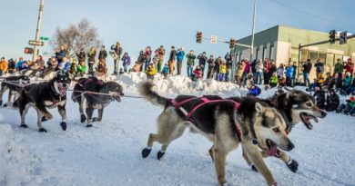 Michael Williams, Jr's team rounds the corner at Cordova Street during the ceremonial start of Iditarod 2014 in Anchorage. (Loren Holmes/Alaska Dispatch)