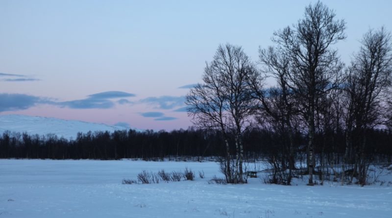 Back to light and land. (Irene Quaile)