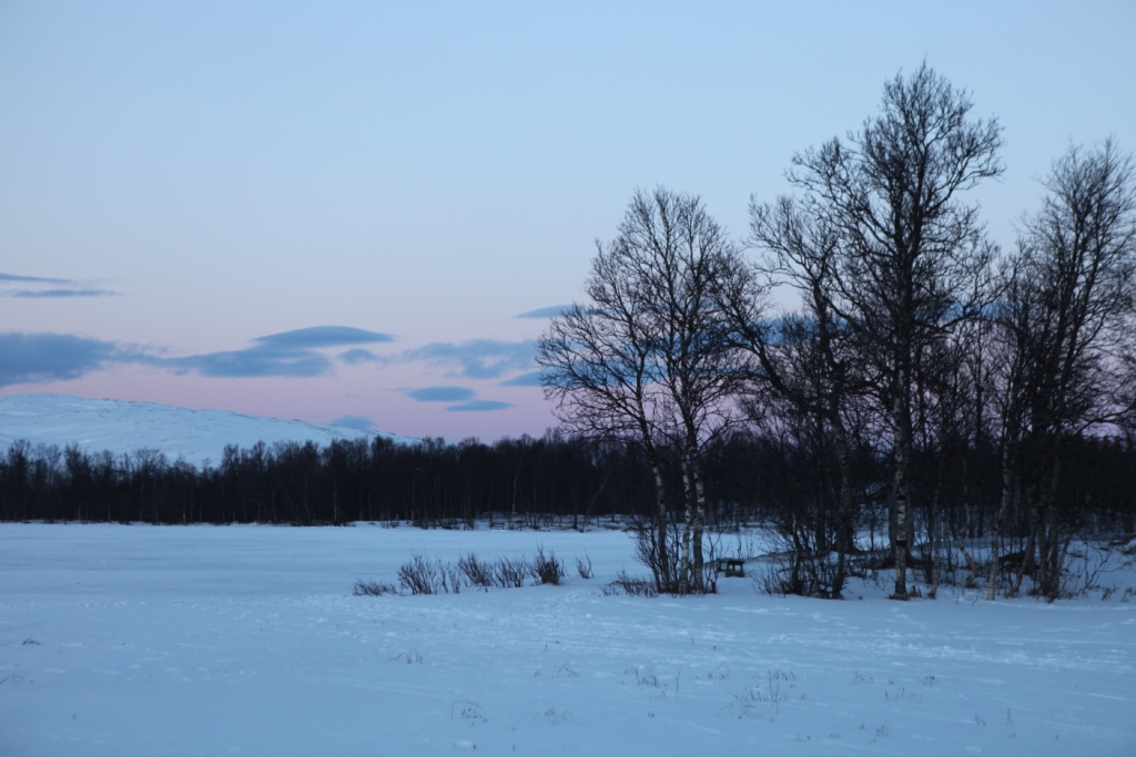 Back to light and land. (Irene Quaile)