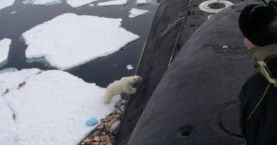 This bag with plastic waste and food garbage from the submarine is not the polar bear’s traditional dinner. (Location Unkown/ Provided by Blogger51 courtesy of Barents Observer)