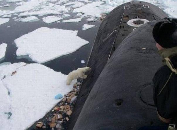 This bag with plastic waste and food garbage from the submarine is not the polar bear’s traditional dinner. (Location Unkown/ Provided by Blogger51 courtesy of Barents Observer)