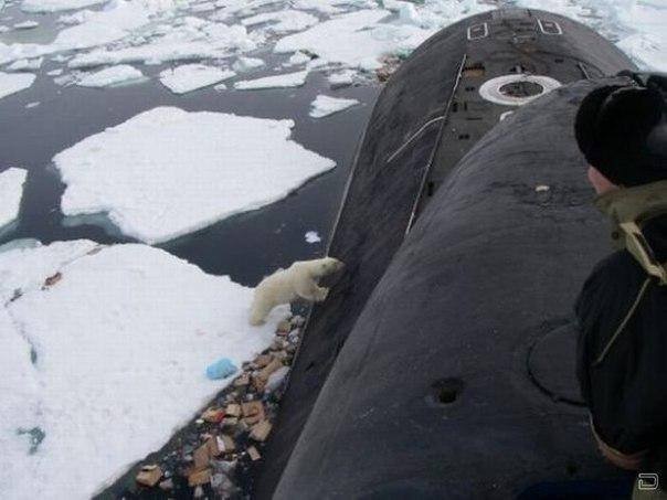 This bag with plastic waste and food garbage from the submarine is not the polar bear’s traditional dinner. (Location Unkown/ Provided by Blogger51 courtesy of Barents Observer)