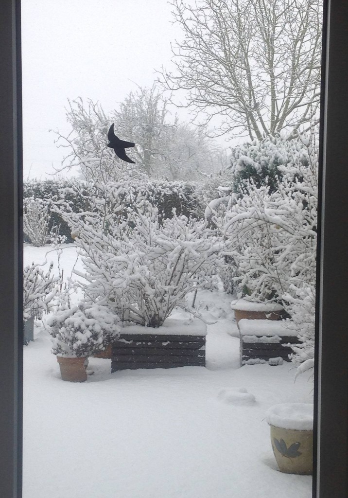 Winter weather in Germany.(Irene Quaile)