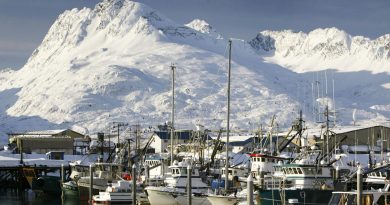 Fishing boats are moored in icy water at the small boat harbor on April 1, 2004 in Valdez, Alaska. (David McNew/Getty Images)