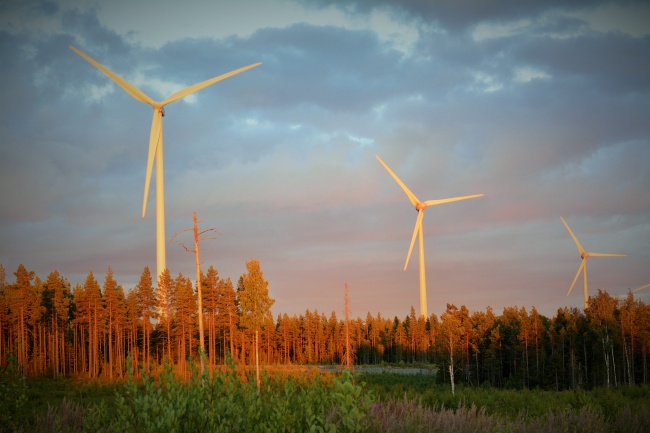 Wind mills outside Umeå in Västerbotten, Sweden. (Thomas Nilsen/Barents Observer)
