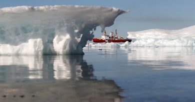 A look at Eye on the Arctic's most read stories this week. (Chris Wattie/Reuters)