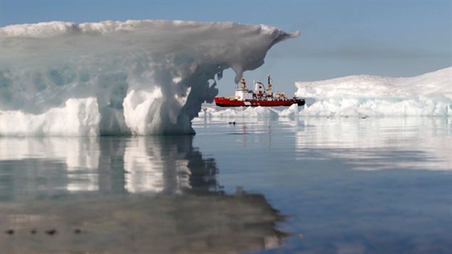 A look at Eye on the Arctic's most read stories this week. (Chris Wattie/Reuters)