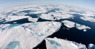 Canada and five other countries are using maps of the seabed to stake their claim to Arctic territory. (The Canadian Press)