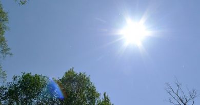 Pilot results show that solar systems in Oulu produce as much electricity as those in northern Germany. (Kalevi Rytkölä / Yle)
