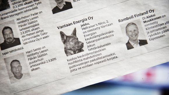 Vantaan Energia took out this ad to publicise its appointment of Jekku, the leak-sniffing dog. (Yle)